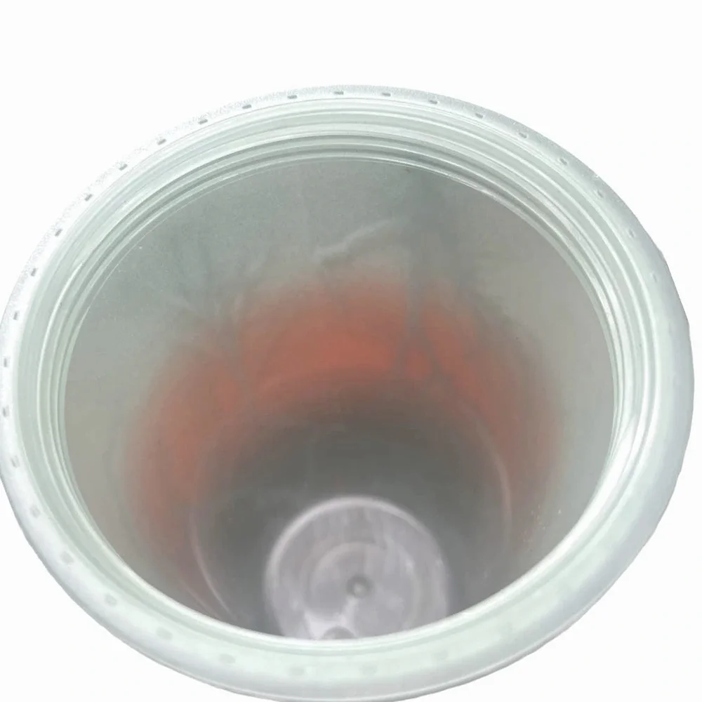Starbucks RAVEN'S PERCH 2022 Halloween 16 oz Cold Cup *Glow in the Dark* - Picture 7 of 13